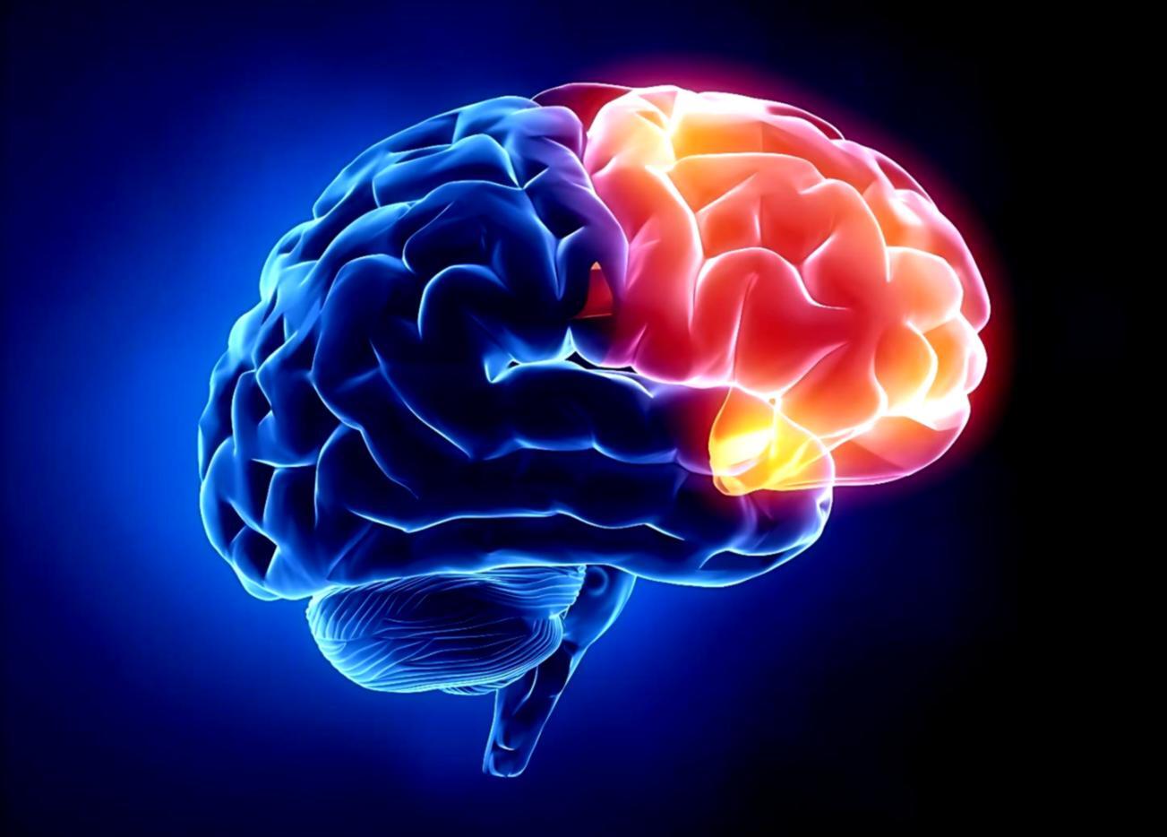 Financial report interface showing clear data visualization