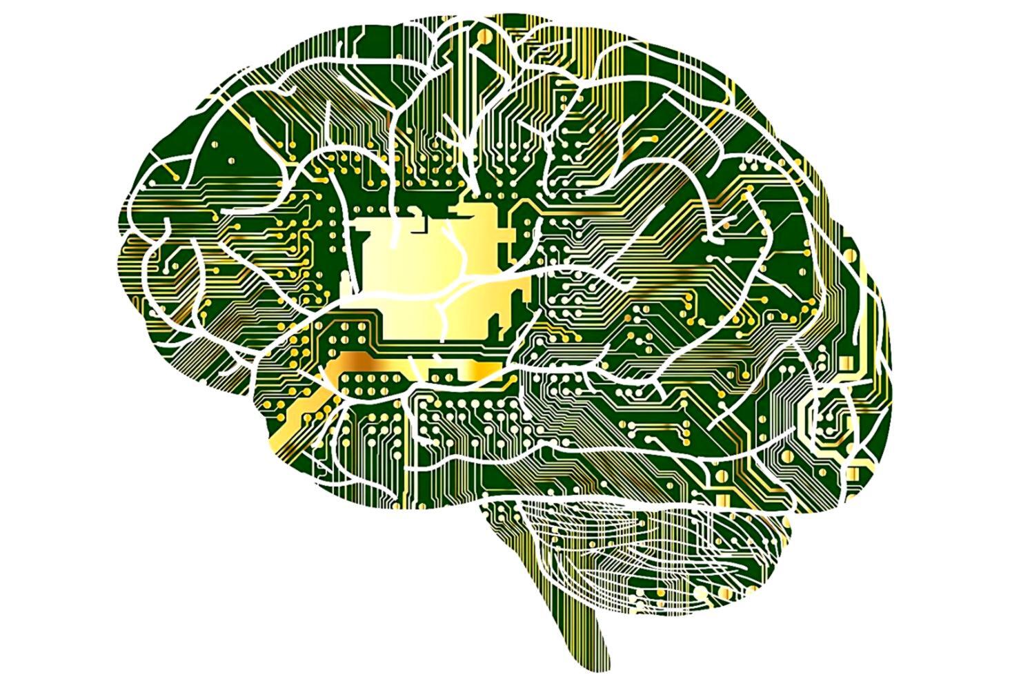 Support specialist reviewing financial report with client